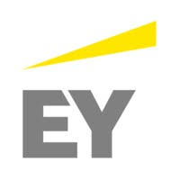 Ernst & Young icon